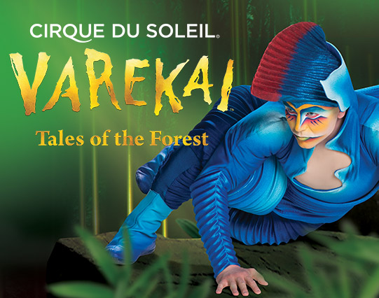 Cirque du Soleil – Varekai